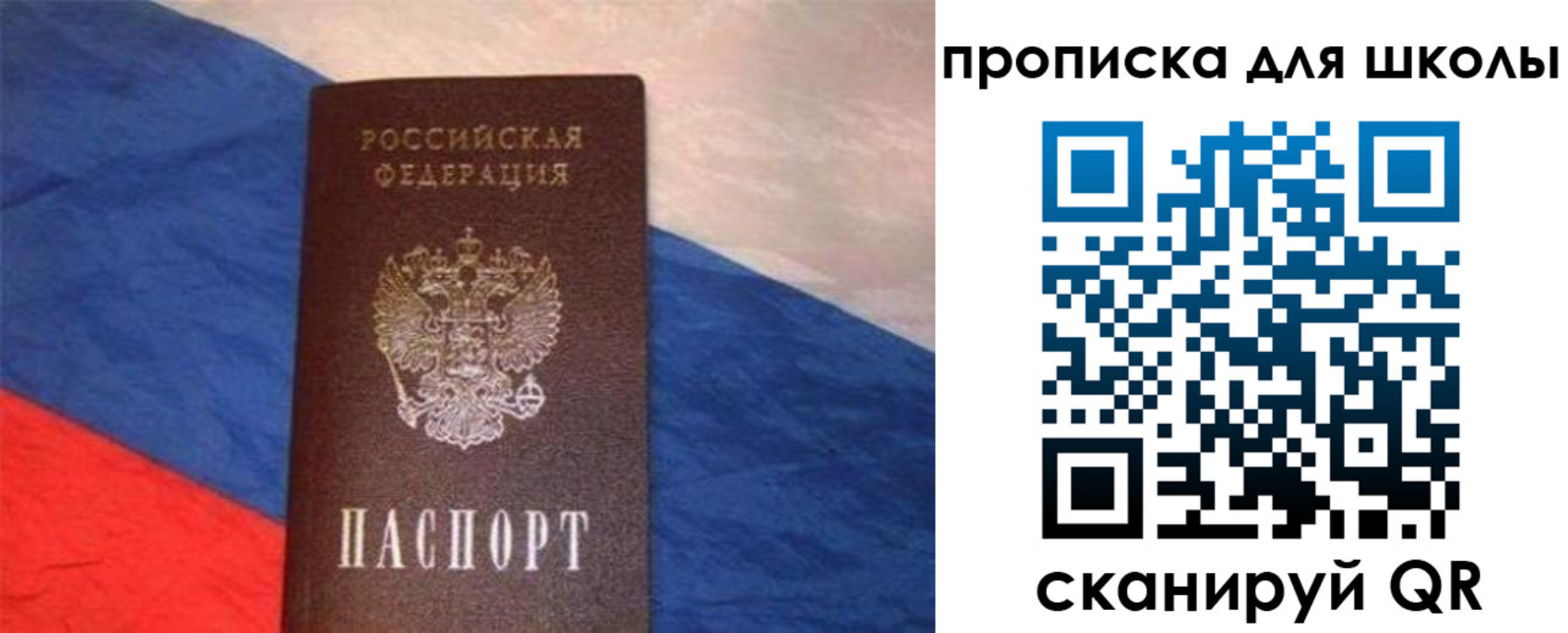 прописка поиск в Ярославле